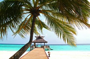 beach-612553_1920
